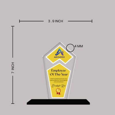 Employee Recognition Personalized Acrylic Award Trophy Custom with Name | Achievement Award for Employee, Corporate Recognition Thankyou Gift for Employee